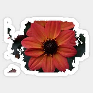 Dahlia Flower Sticker